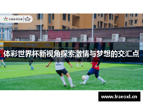 体彩世界杯新视角探索激情与梦想的交汇点