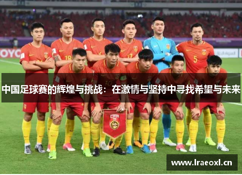 中国足球赛的辉煌与挑战：在激情与坚持中寻找希望与未来