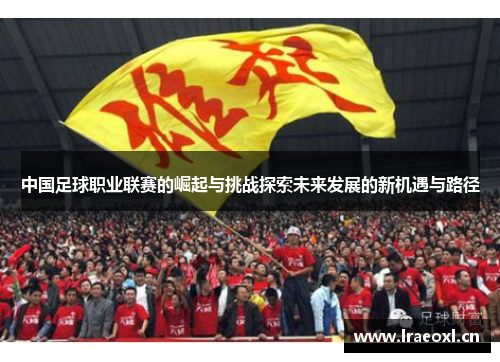 中国足球职业联赛的崛起与挑战探索未来发展的新机遇与路径